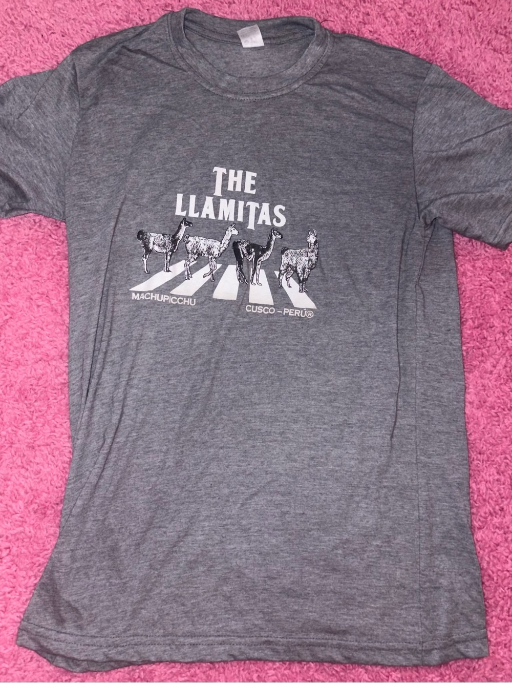 The Llamitas Graphic Tee - Gray